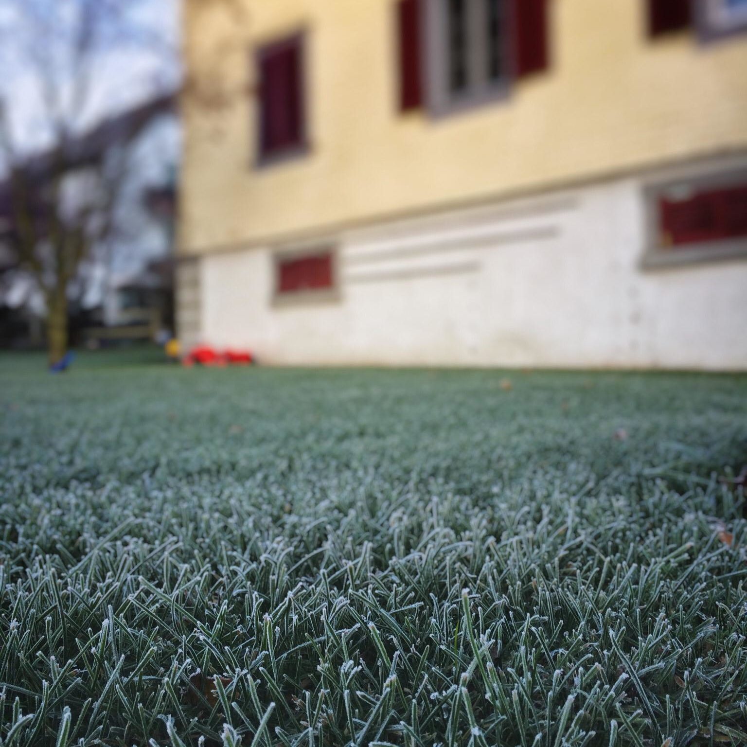 Ein Rasen mit Frost vor einem Haus.